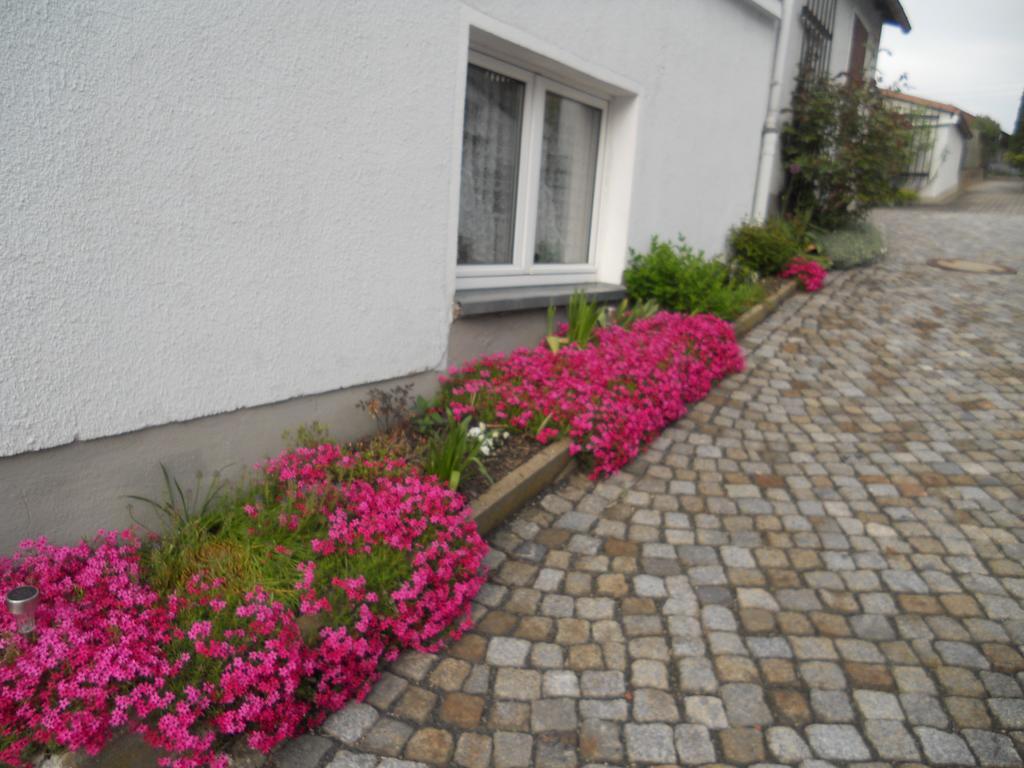 Ferienhaus Zittau Oberlausitz & Ferienwohnung Am Hamann Berg Ngoại thất bức ảnh
