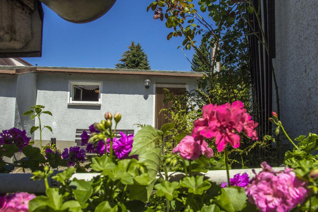 Ferienhaus Zittau Oberlausitz & Ferienwohnung Am Hamann Berg Ngoại thất bức ảnh